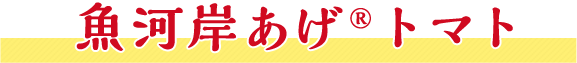 魚河岸あげ&reg;トマト