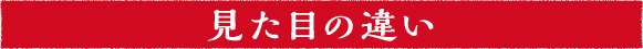 見た目の違い