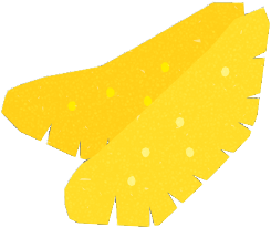 かずのこのイラスト