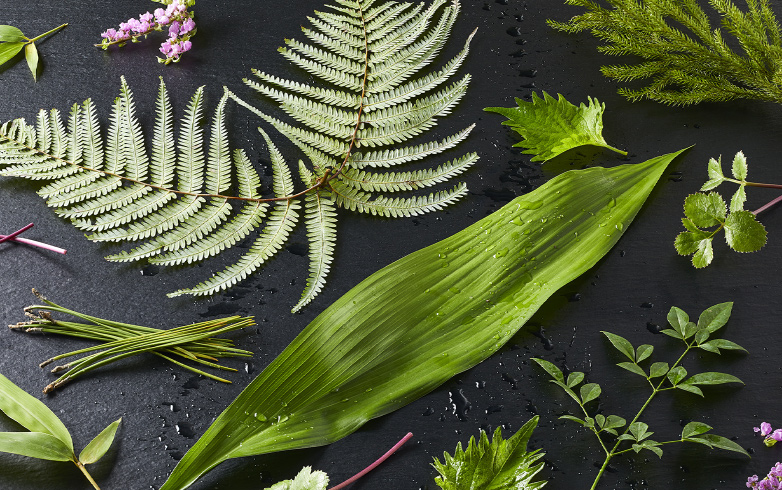 あしらいの工夫