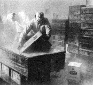 Factoryfor fish paste based products in the period of itsestablishment