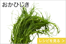 おかひじき　千葉県
