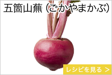 五箇山蕪（ごかやまかぶ）　富山県