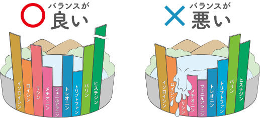 魚のたんぱく質がアミノ酸バランスに優れたことを表す図